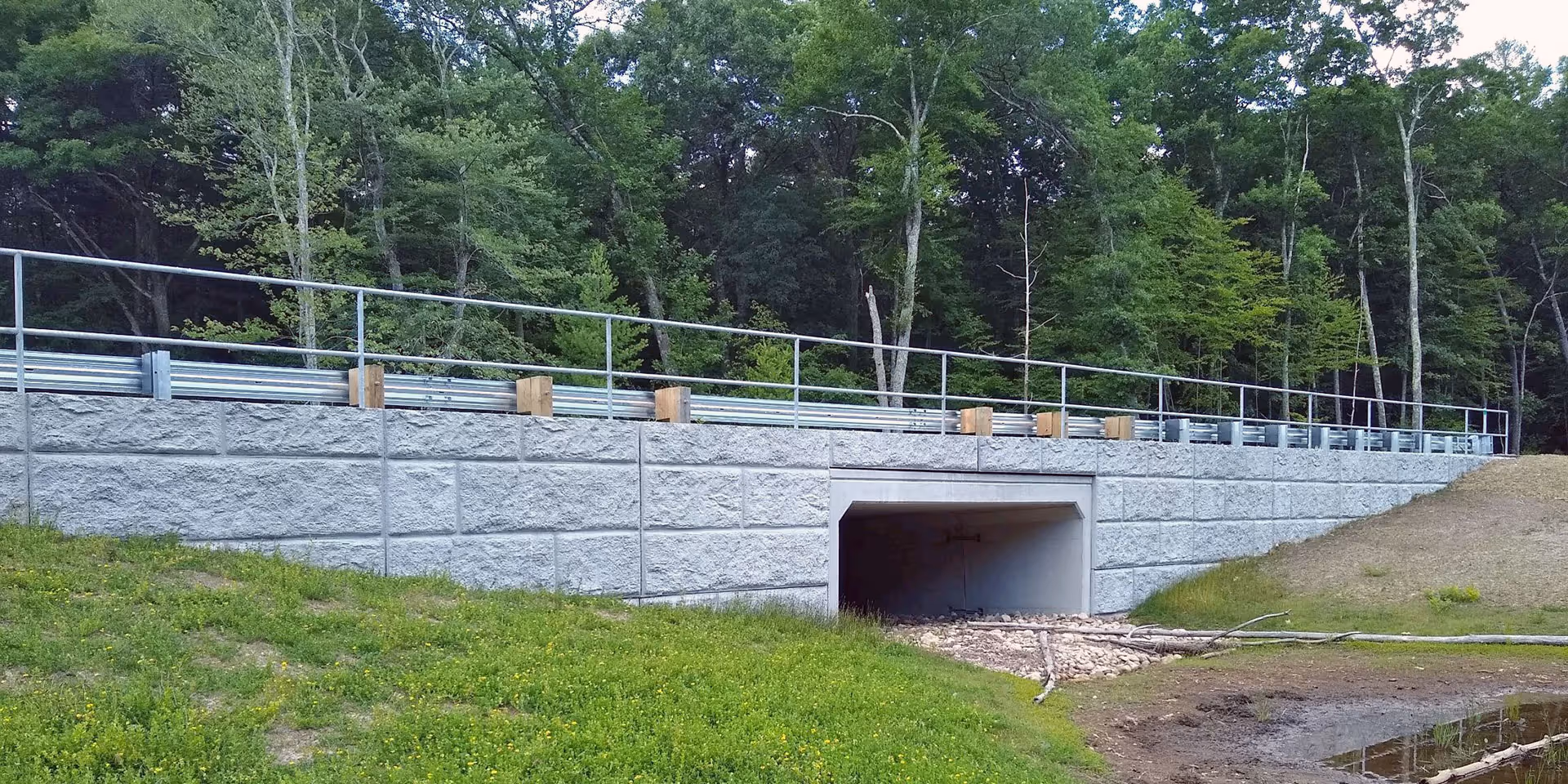 Concrete wildlife underpass beneath a road, surrounded by grass, with forested area in the background.
