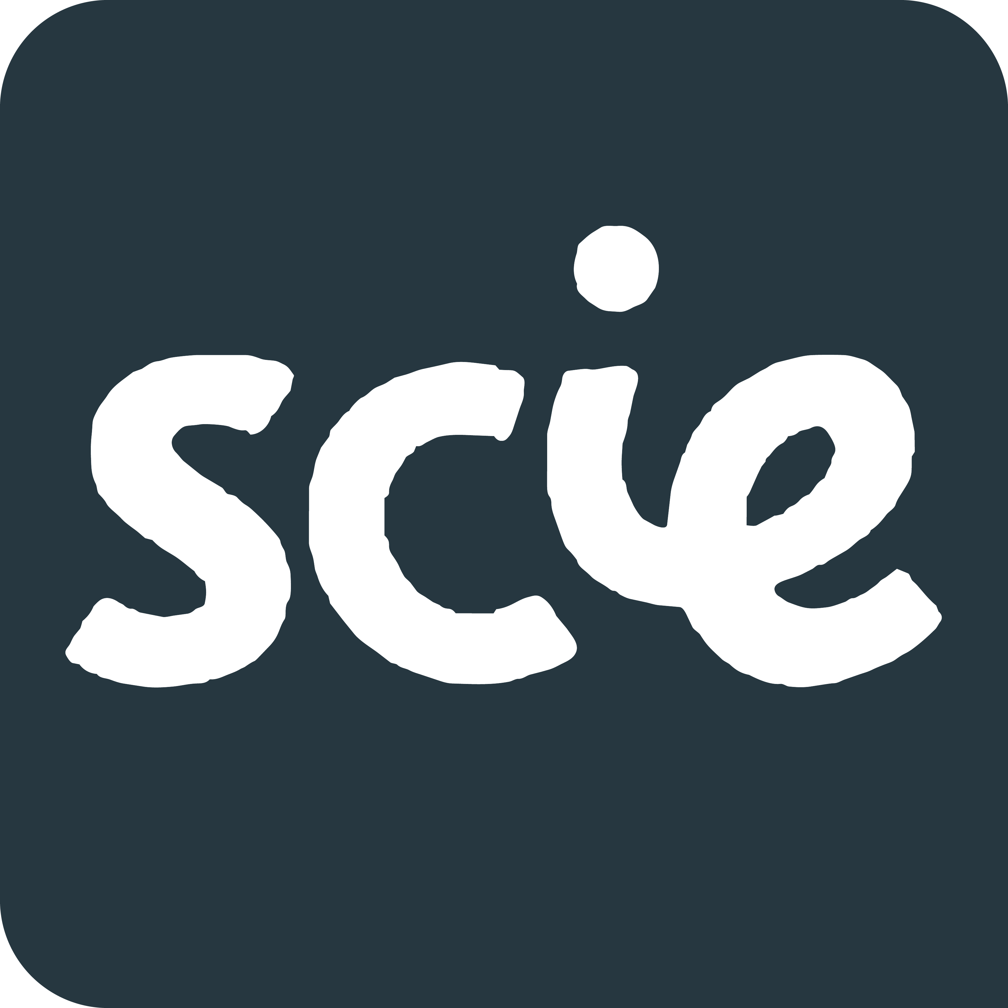 Solutions Compliance logo