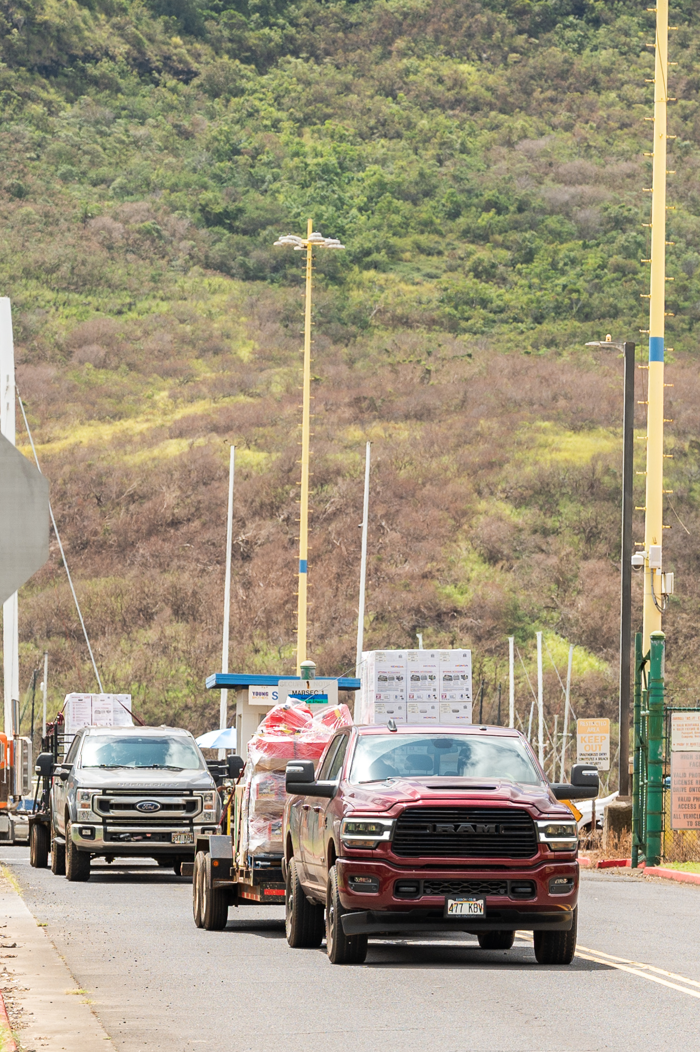 Convoy of trucks carrying relief supplies