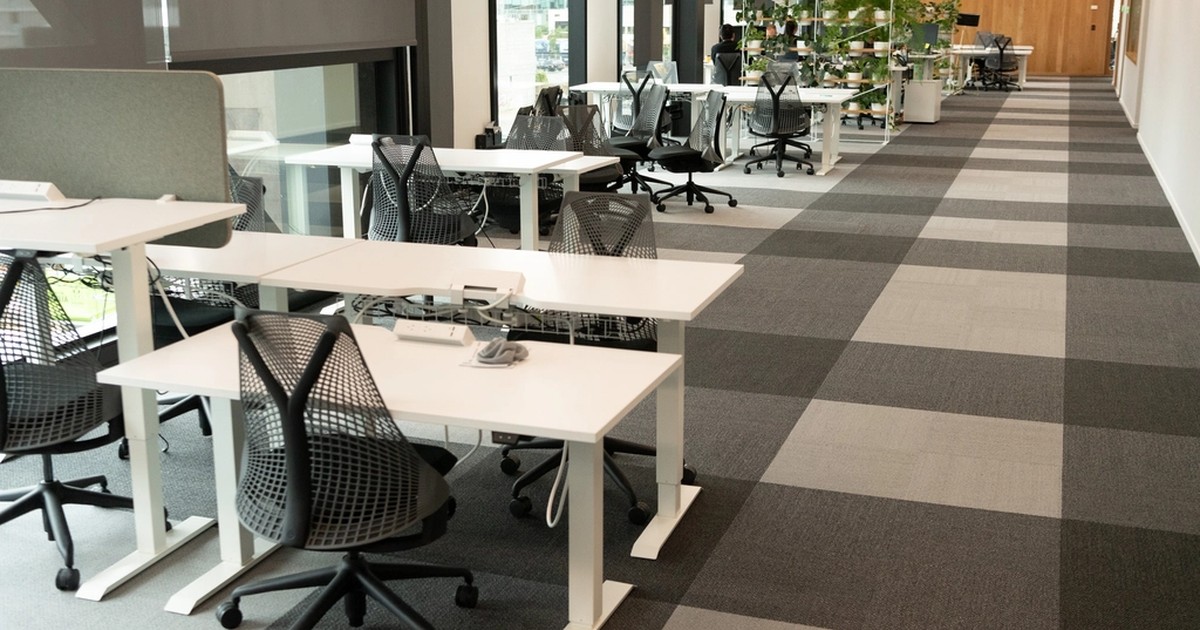 Rows of empty desks and ergonomic chairs in a modern open-plan office with plants and natural light, symbolizing entry-level jobs sitting unfilled in AI-exposed fields.