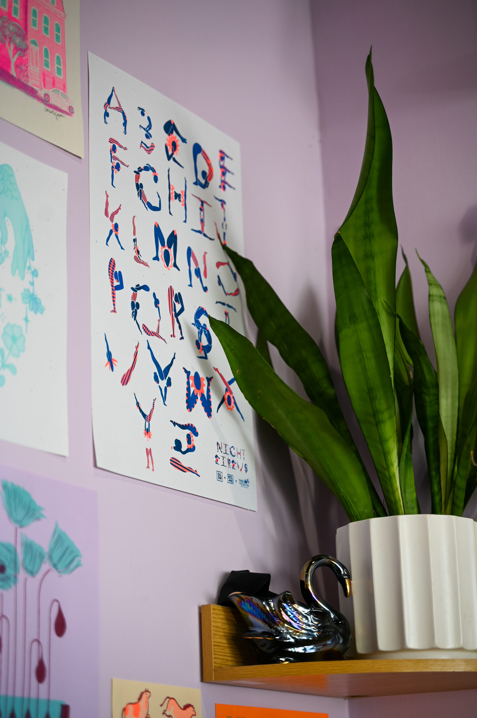 A green snake plant in a white ceramic pot and a shiny black swan figurine on a wooden shelf with colorful posters on a lavender wall.