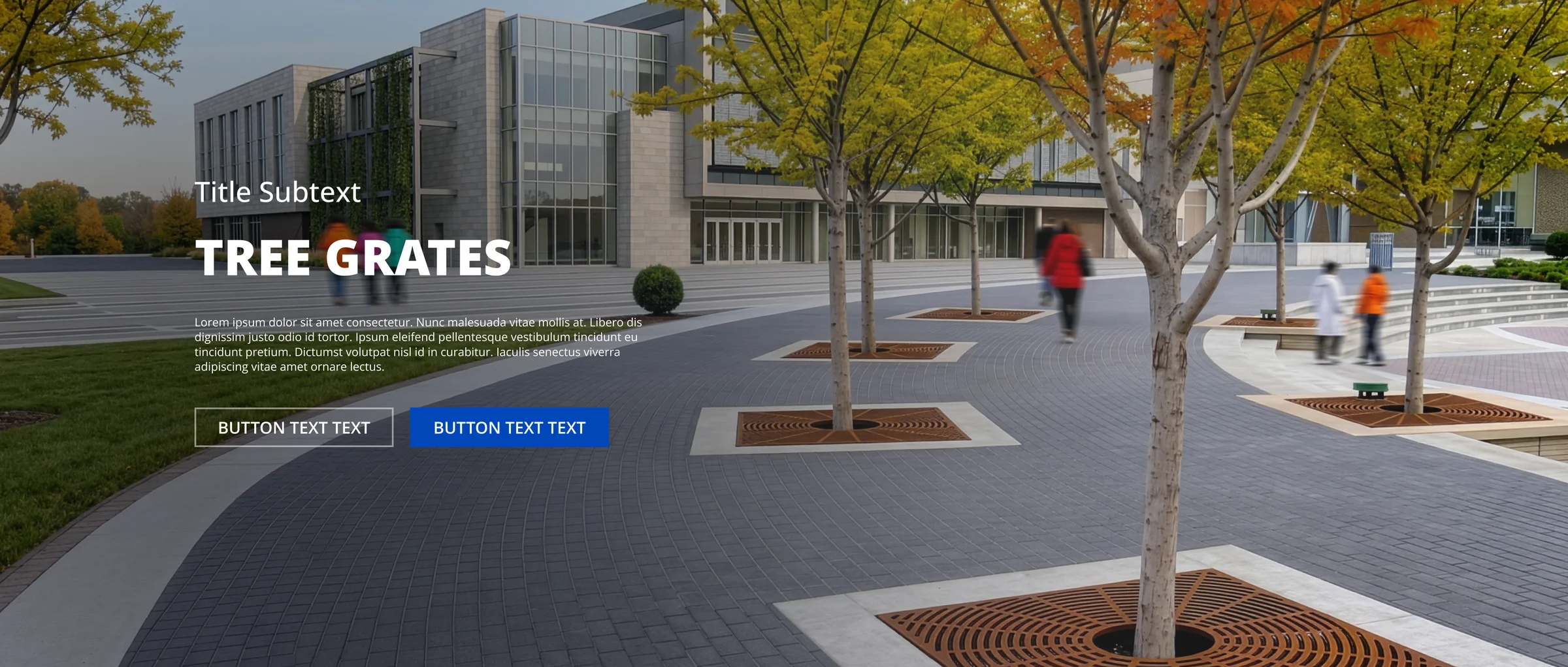 Tree grates hero on a campus plaza