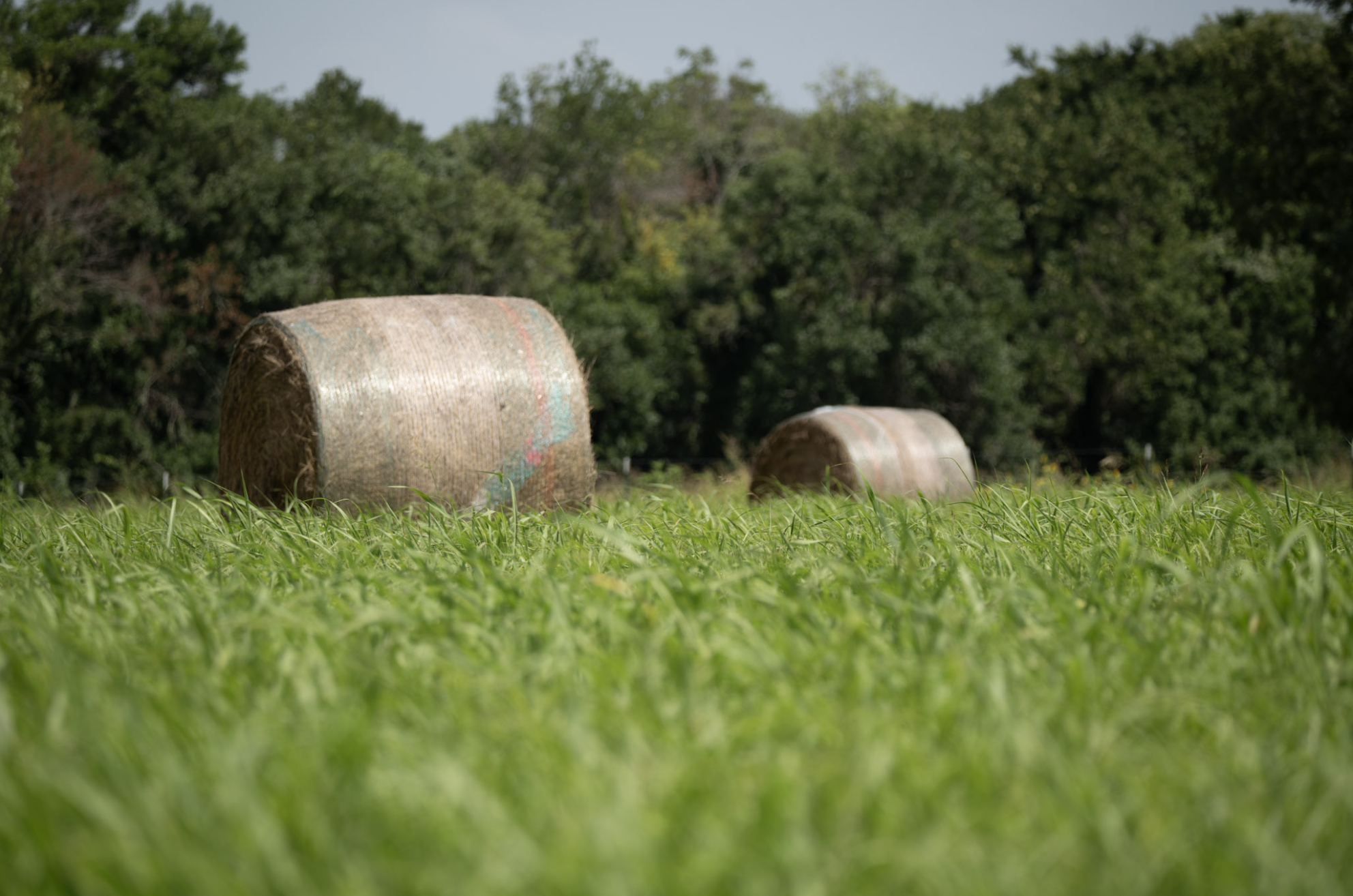 Farm land