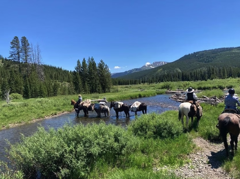Cody Hibbard, country music star, joins BirdDog