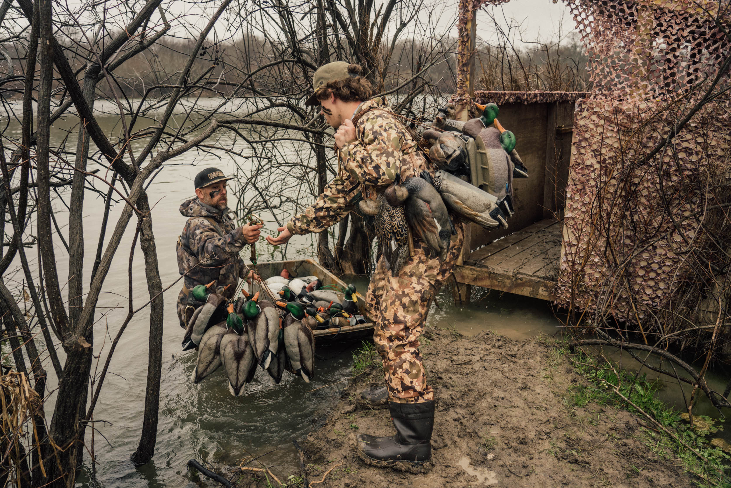 Cody Hibbard, country music star, joins BirdDog