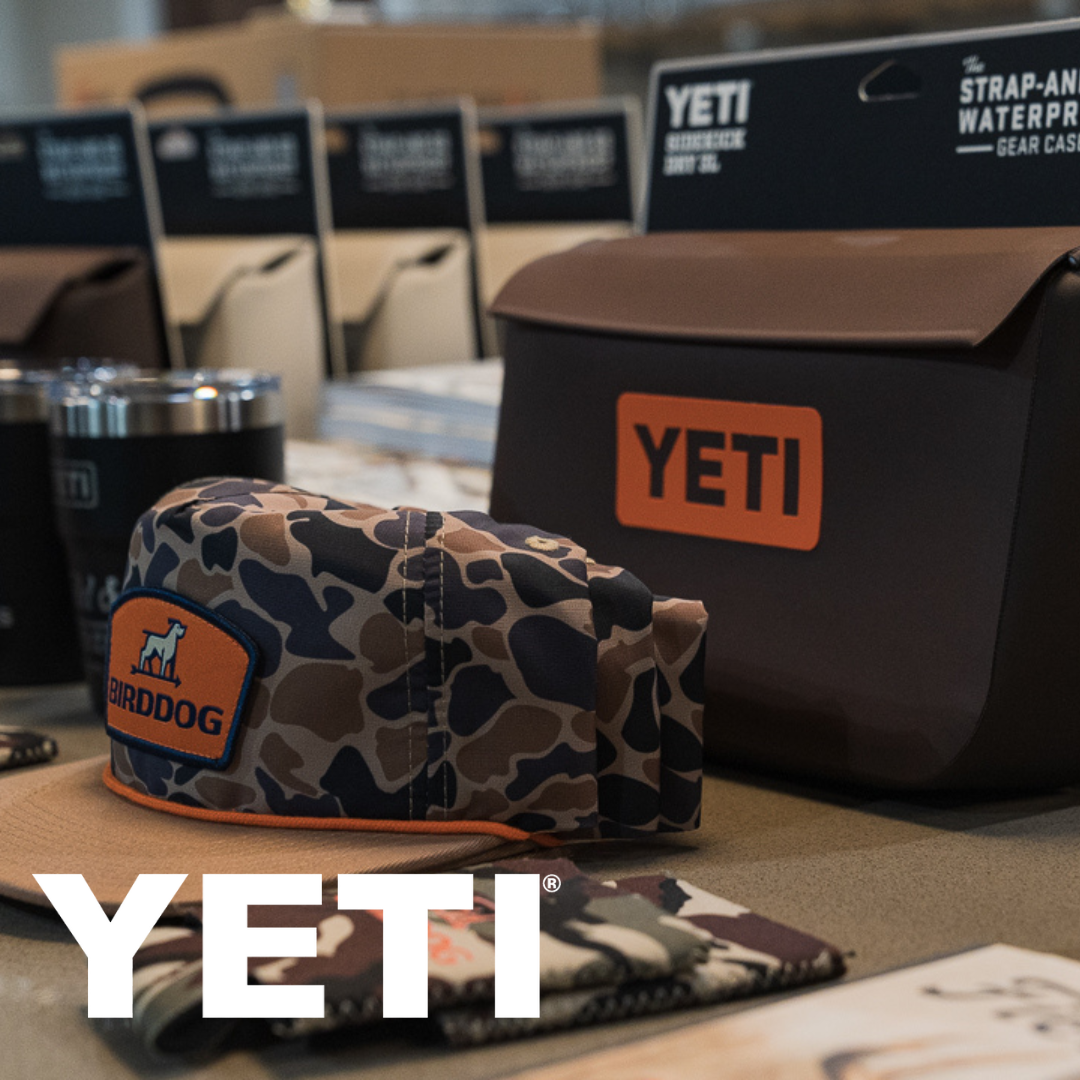 Cody Hibbard, country music star, joins BirdDog