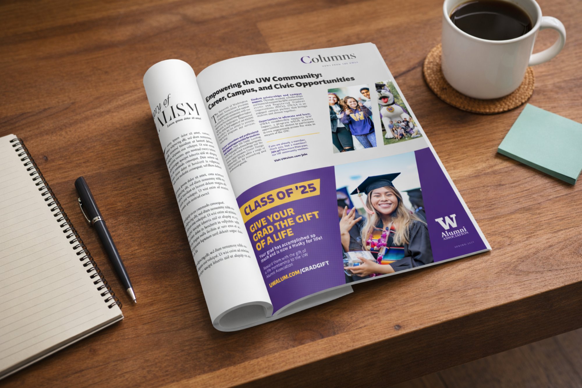 Project preview image