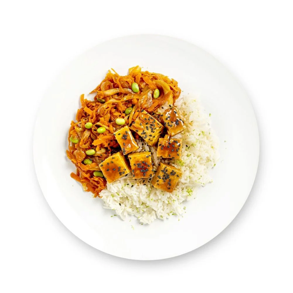 vegetarian meal delivery_crispy tofu