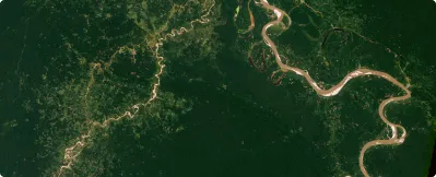 Aerial view of winding river flowing through dense green forest.