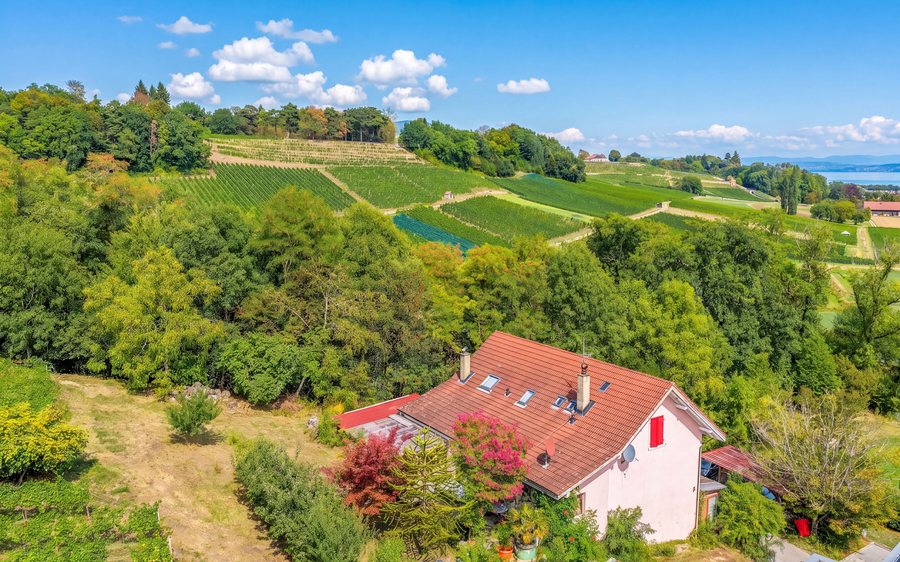 Site dédié : maison individuelle de 7 pièces, Chemin du Bras-de-Mar 10 à Boudry