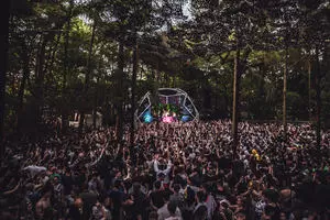 Forbidden Forest