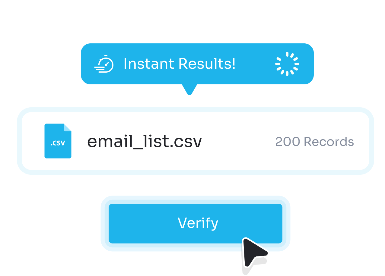 Catch-all Email Verification