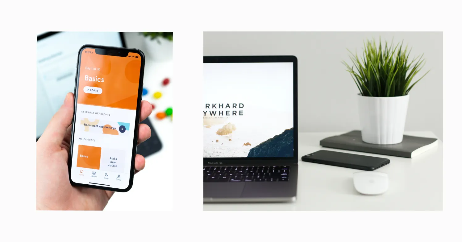 application mobile et site web