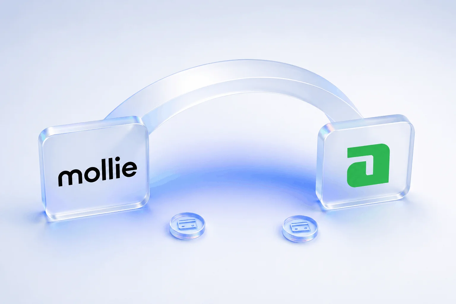 Mollie vs Adyen payment provider comparison