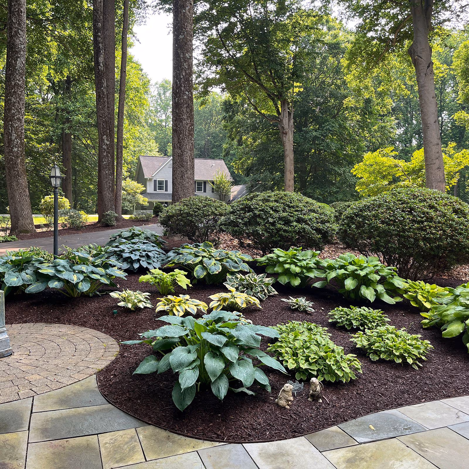 Newly installed plants and flowers after landscape designer near me in West River by Larsen’s Lawn & Landscape