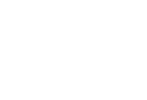 Leo Logo