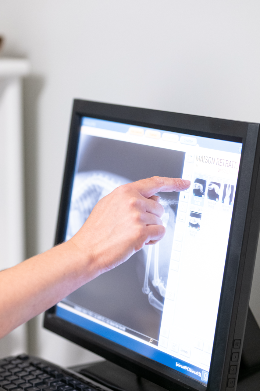 Hand pointing at a digital X-ray image of a dog's skeletal structure on a computer monitor.