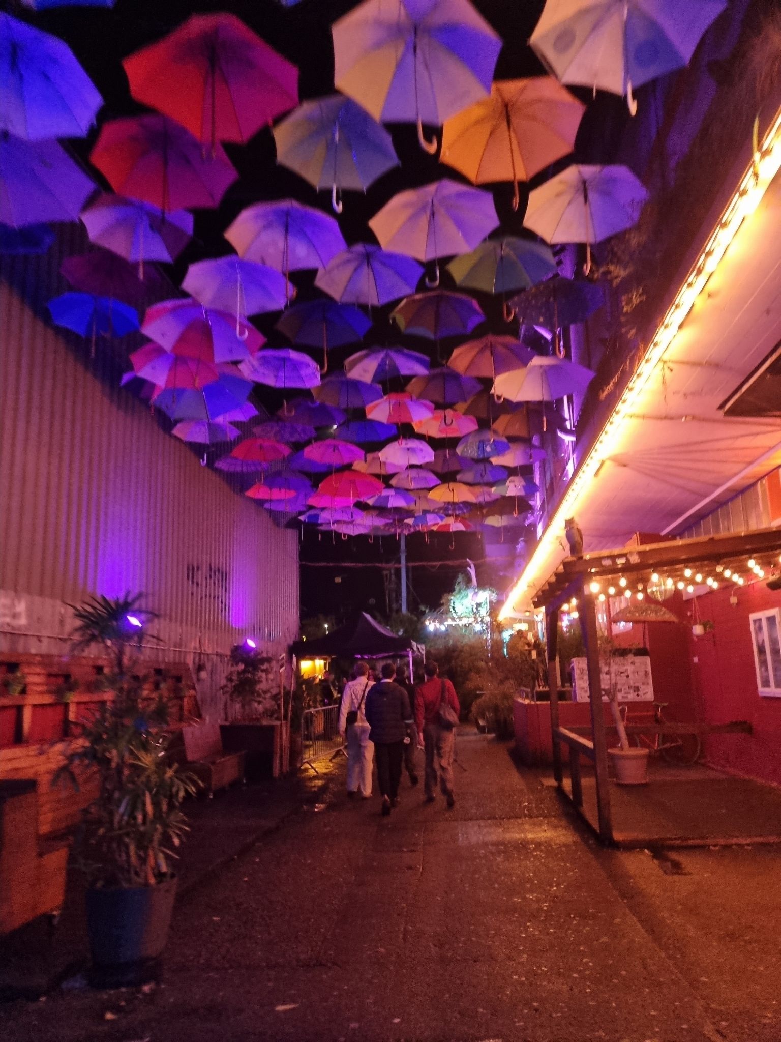 C Wire - End of Summer 2025 - 004