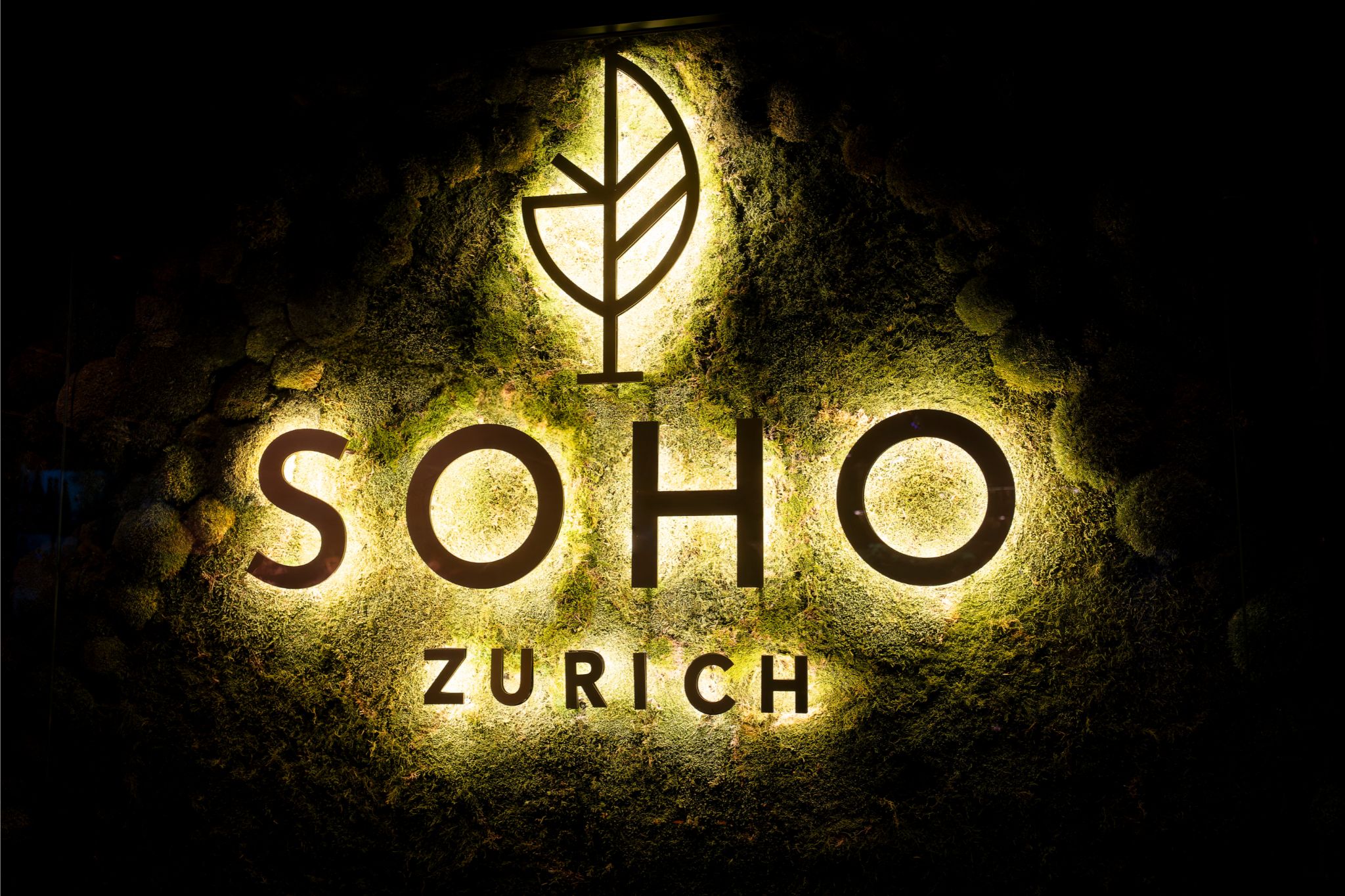 C Wire - End of Summer 2025 - 166