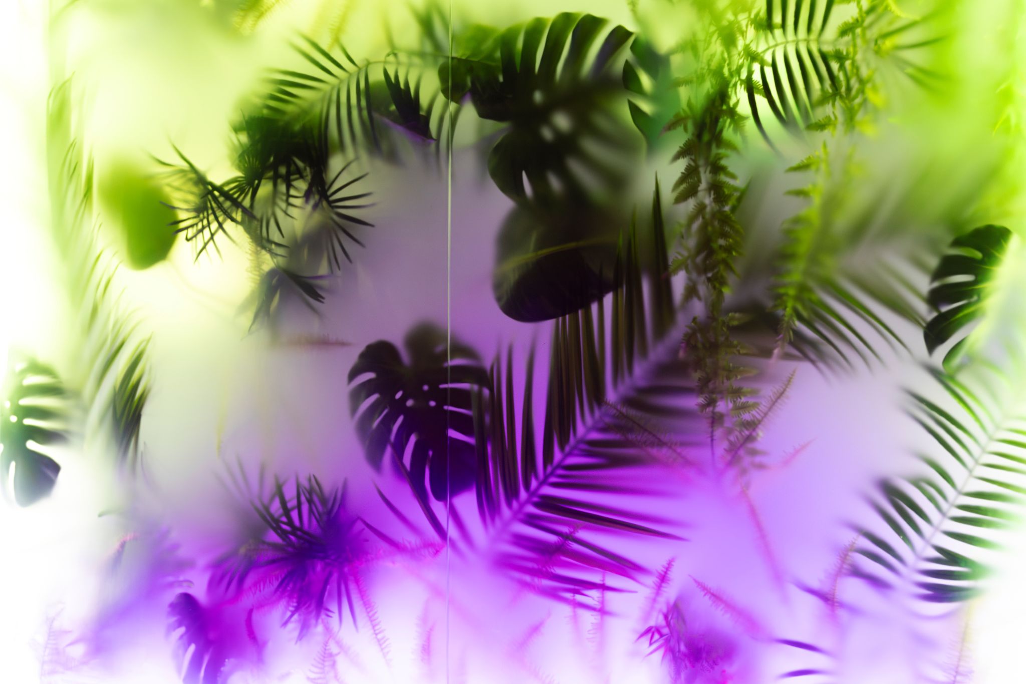 C Wire - End of Summer 2025 - 167