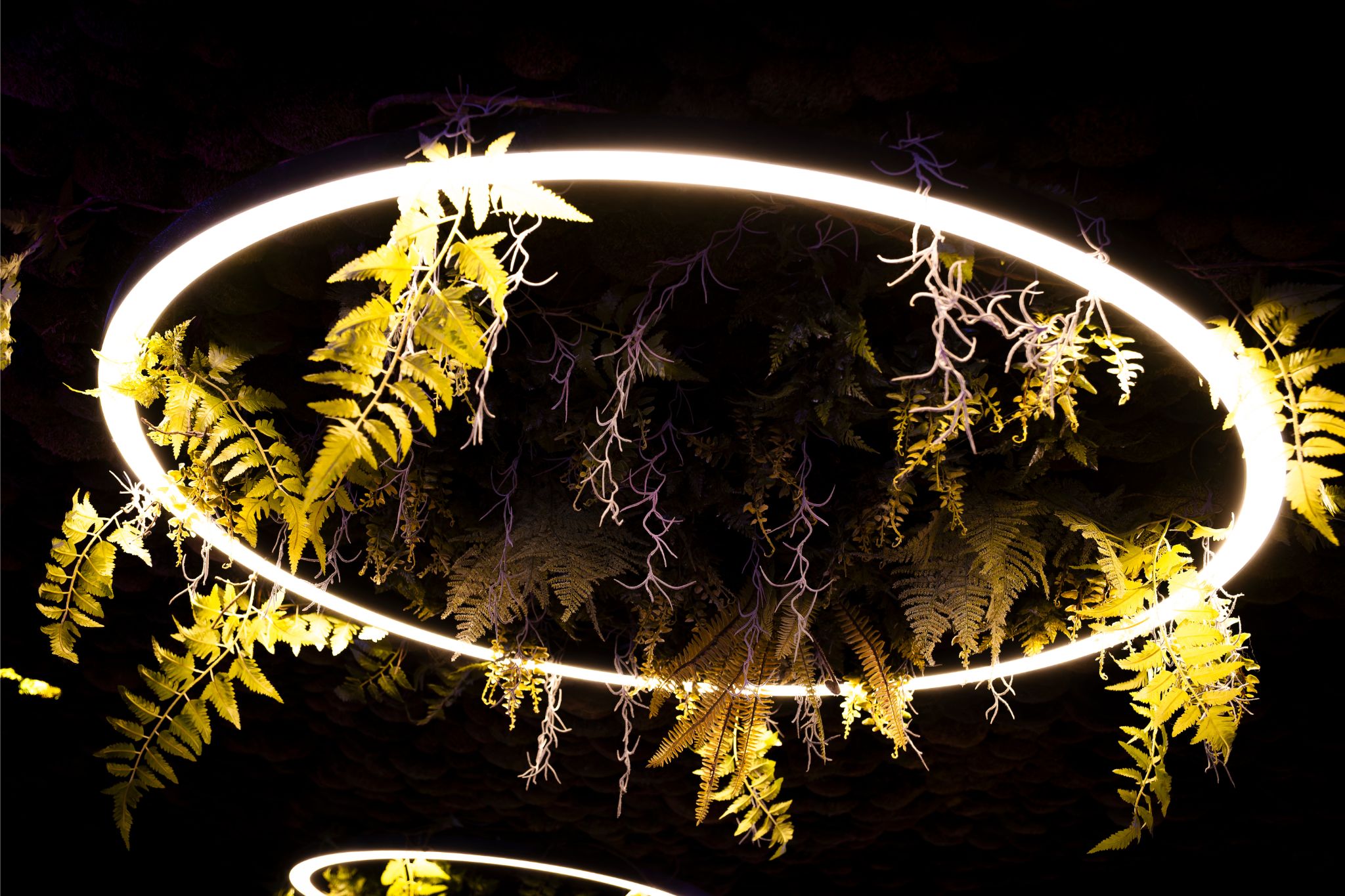 C Wire - End of Summer 2025 - 168