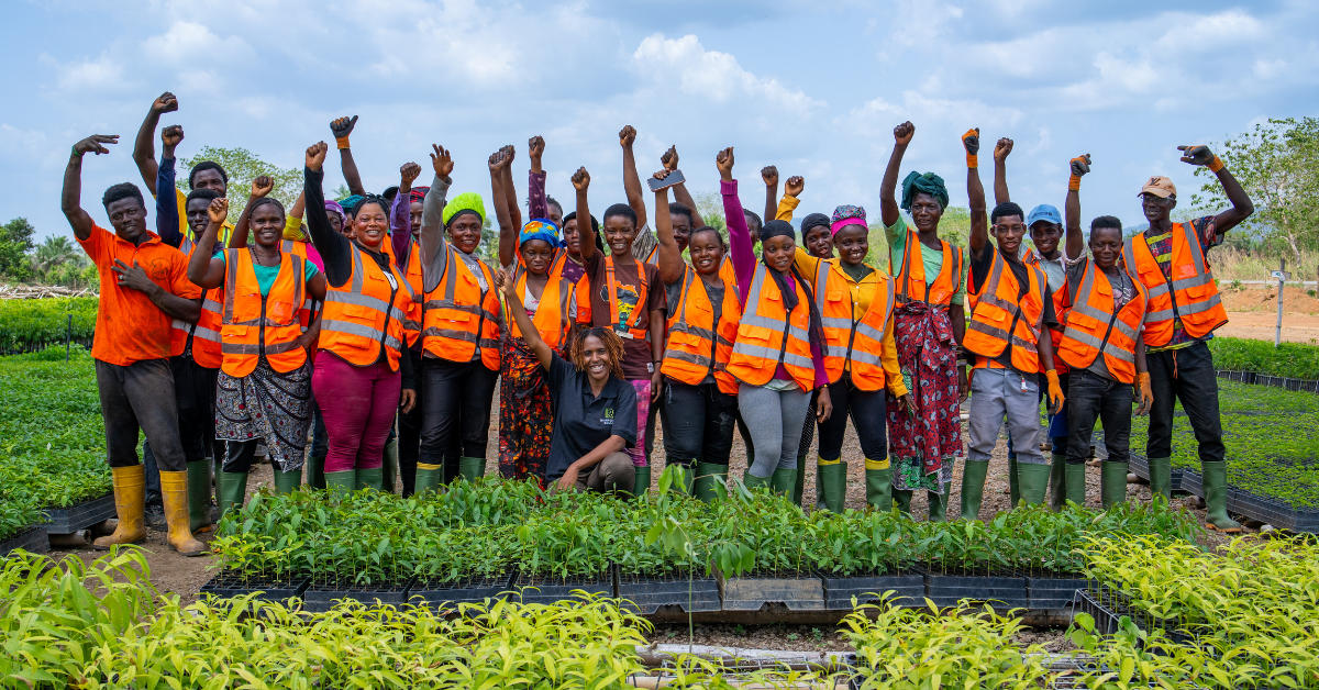 Rainforest Builder nursery at Project Buffalo, Sierra Leone – native tree species for reforestation.