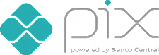 Pix logo Brazil QR