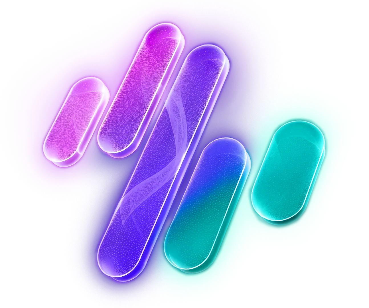 Crypto Wallets: Types, Security & Best Practices | Zignaly