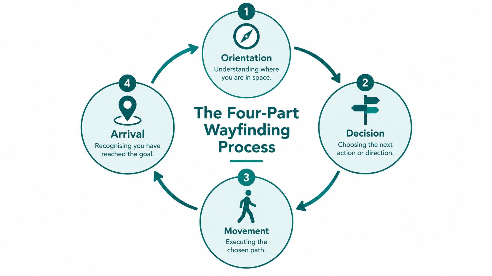 A circular diagram illustrating the four parts of the wayfinding process: orientation, decision, movement, and arrival.