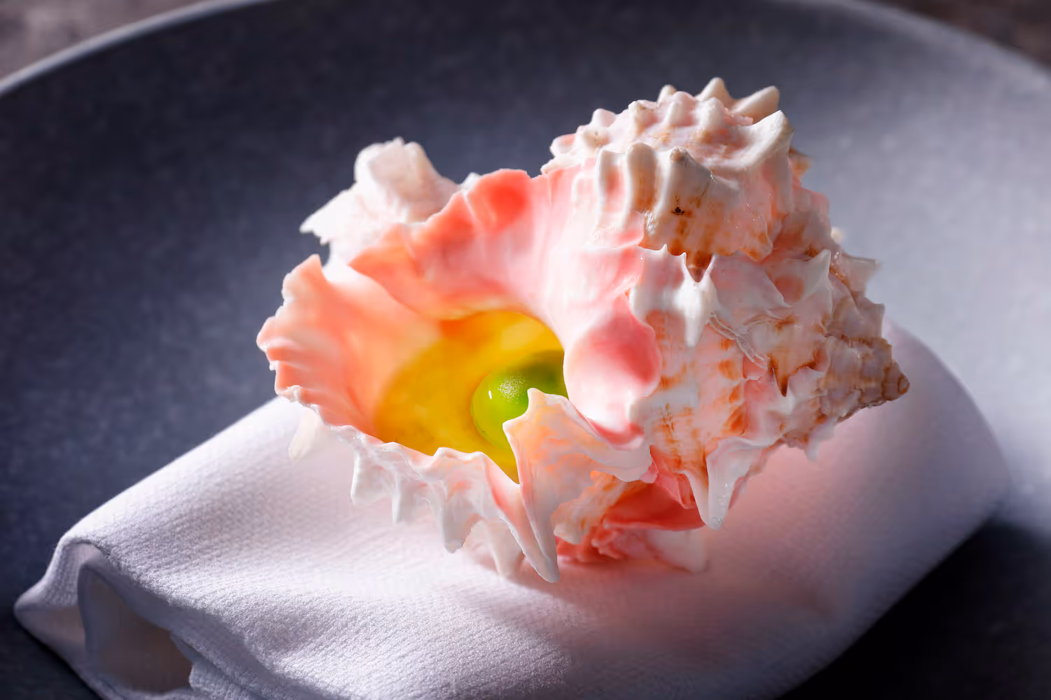 Afbeelding van The Lemon Tree Curaçao