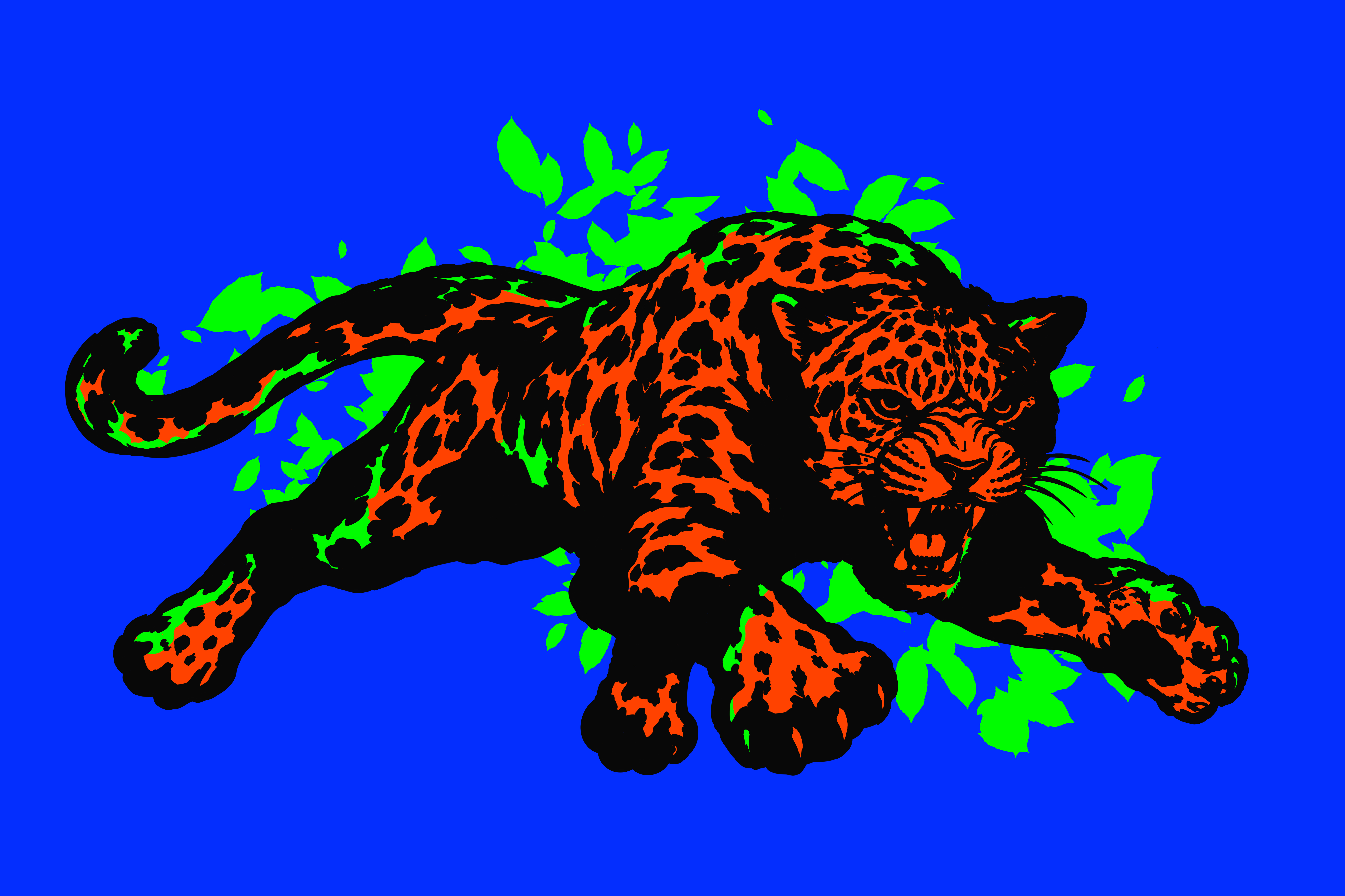 Illustration 66