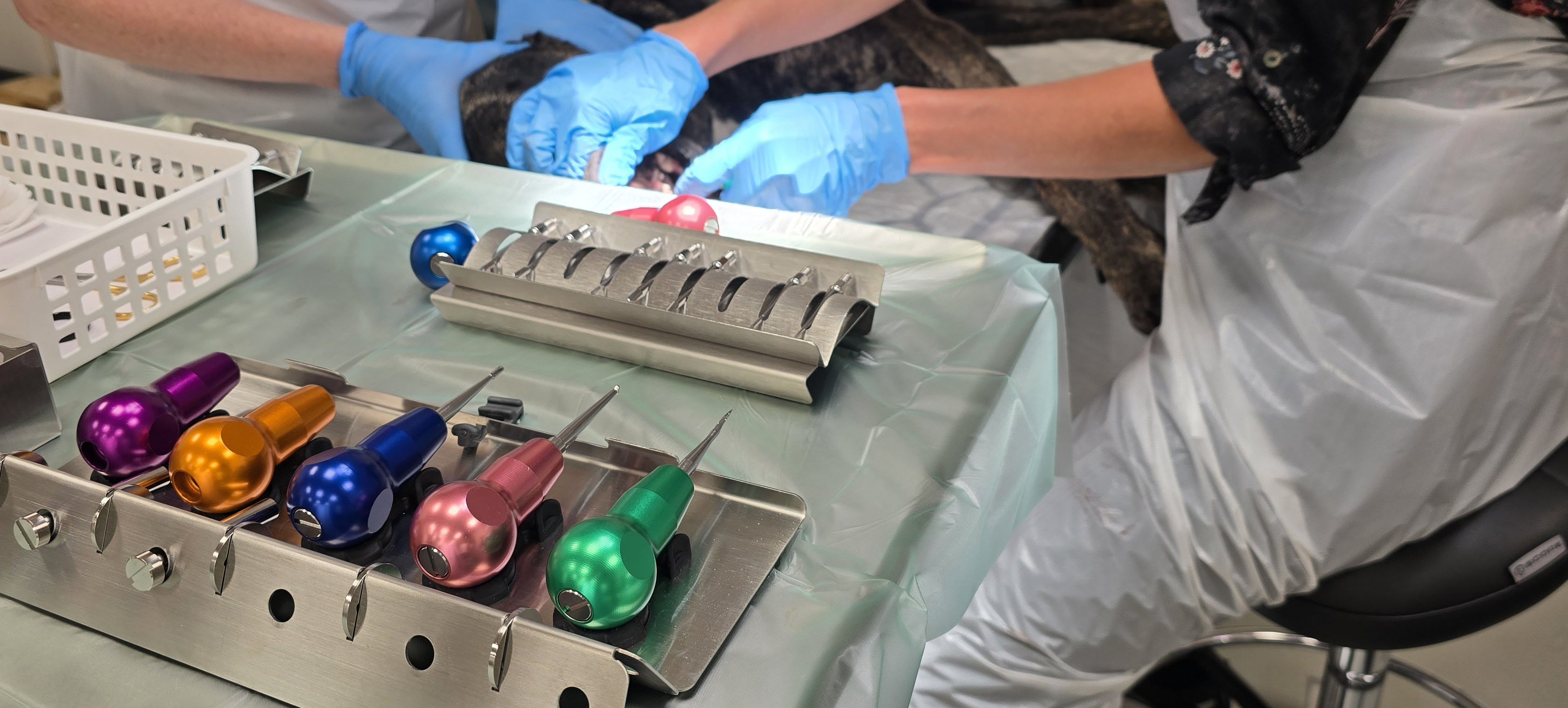 Eickemeyer introducerar Dentanomic på Veterinärmötet 2025