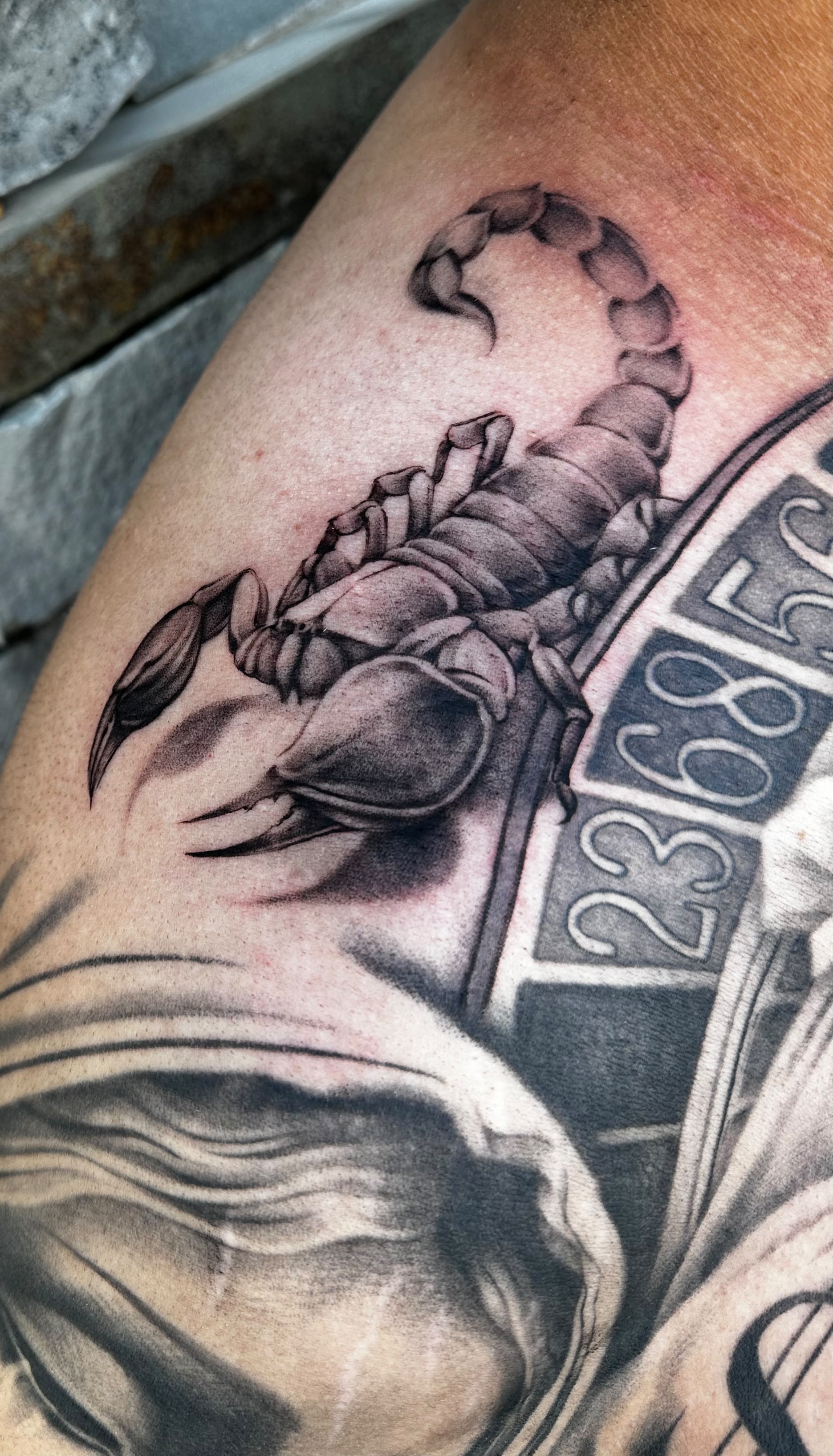 Realistic scorpion tattoo in black and grey by Dani B at Santana Studio Co, Fort Worth