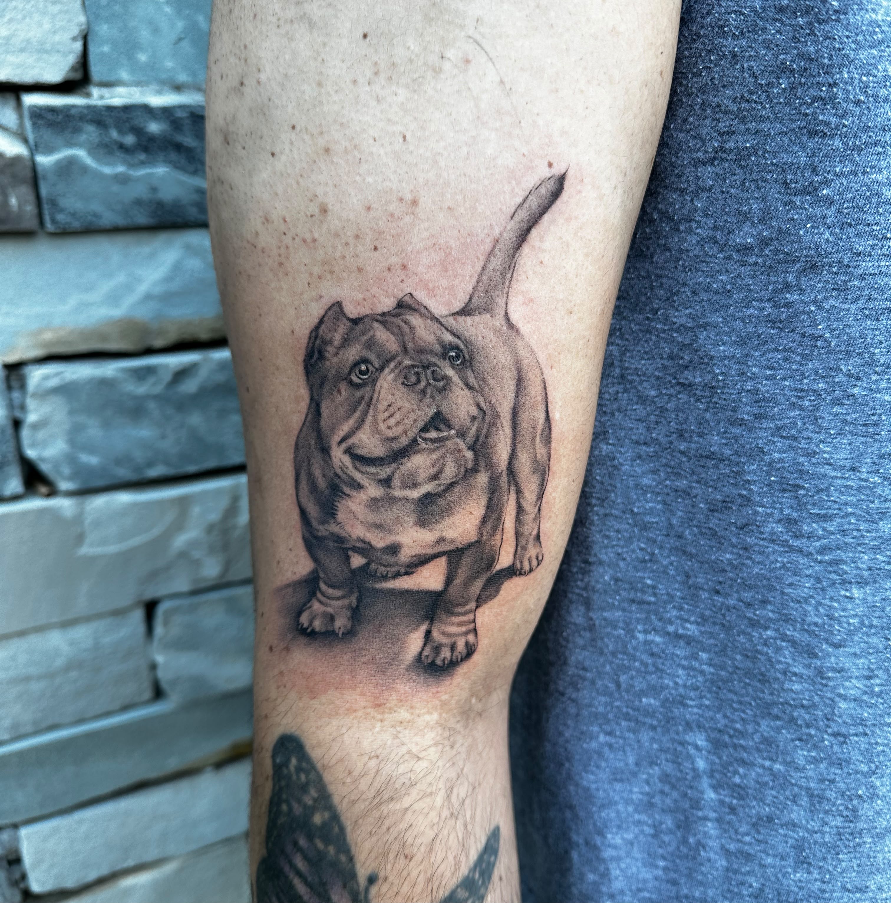 Realistic dog portrait tattoo in black and grey by Dani B, Fort Worth