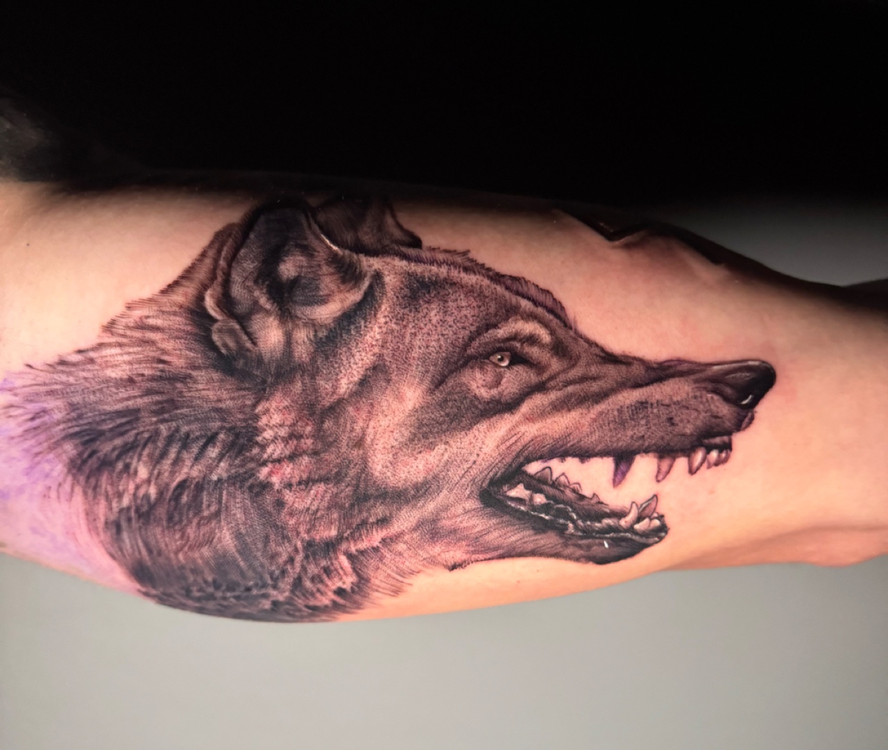 Fine line tattoo with delicate single-needle detail at Santana Studio Co, Fort Worth