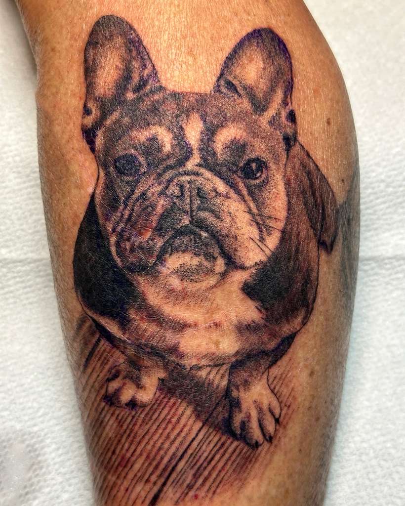 Black and grey French bulldog portrait tattoo on the leg by RESN, Fort Worth tattoo artist