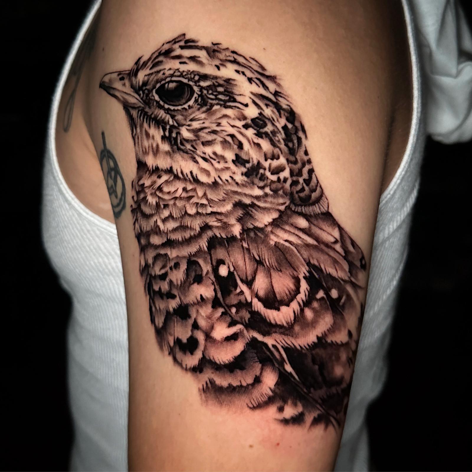 Black and grey bird portrait tattoo on the upper arm by RESN at Santana Studio Co, Fort Worth