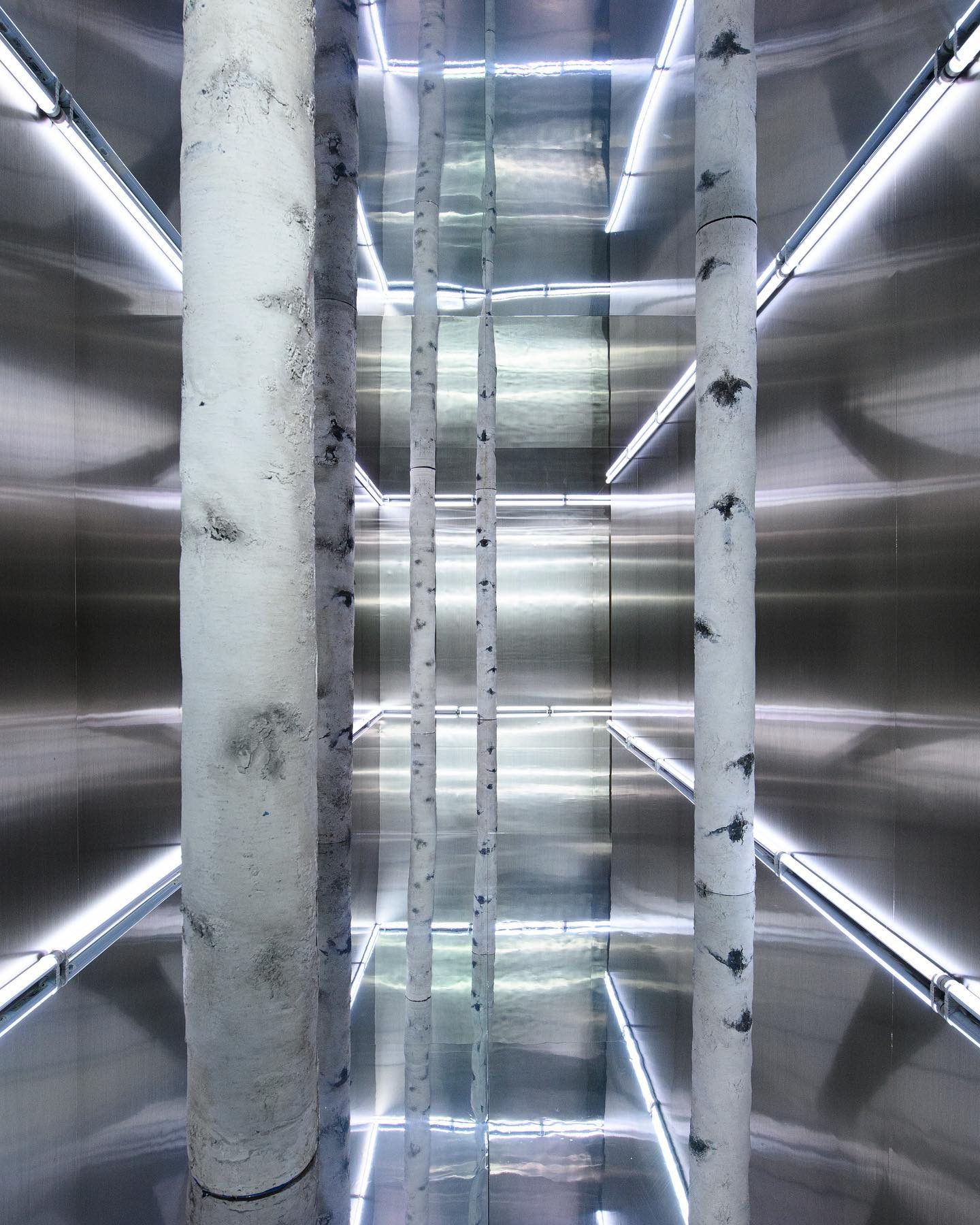 Mirrored Birch Installation