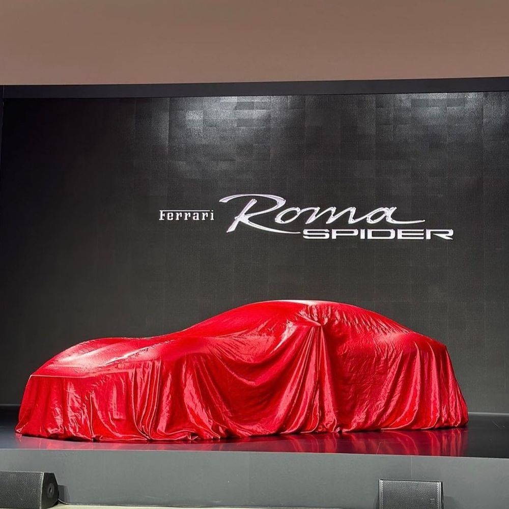 Covered Roma Spider Reveal