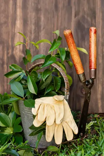 Mini Garden Tools