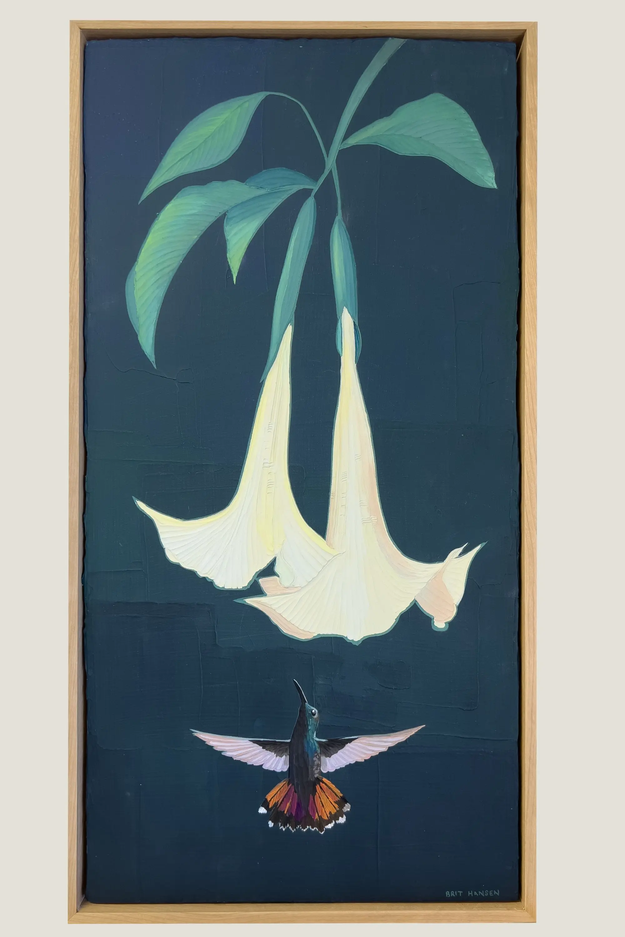 Angel Trumpet hummer