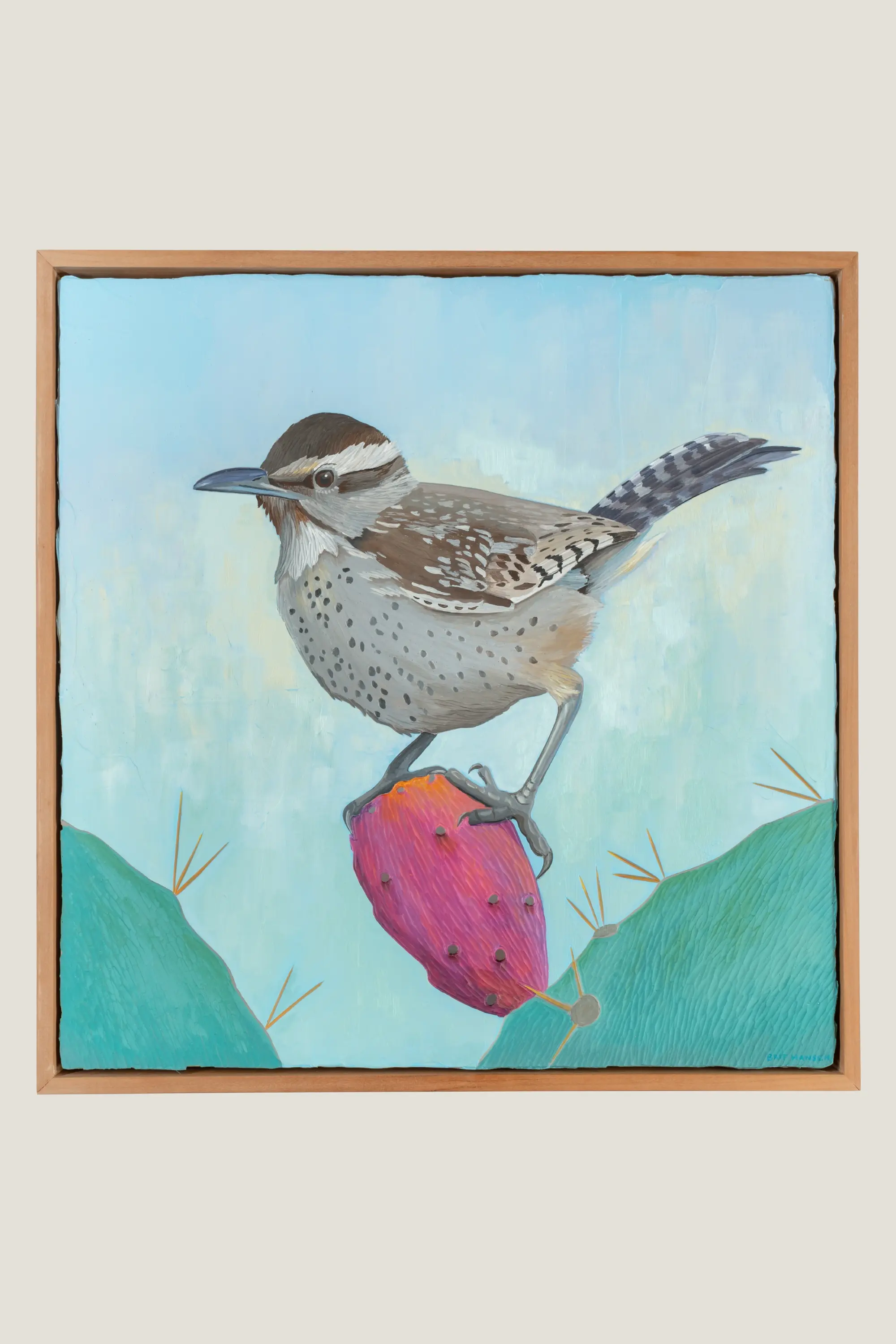 Cactus Wren