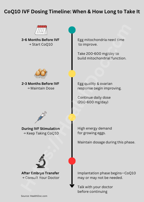 Timeline infographic showing when to take CoQ10 for IVF success. Recommends 200–600 mg/day starting 3–6 months before treatment, continuing through stimulation, and consulting doctor after embryo transfer.