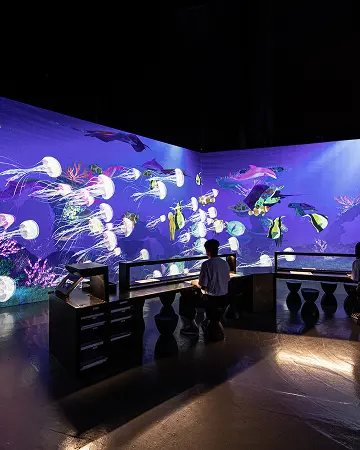 LIVE SKETCHBOOK CORAL REEF