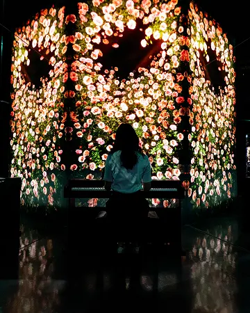 FLOWER ROSE PIANO