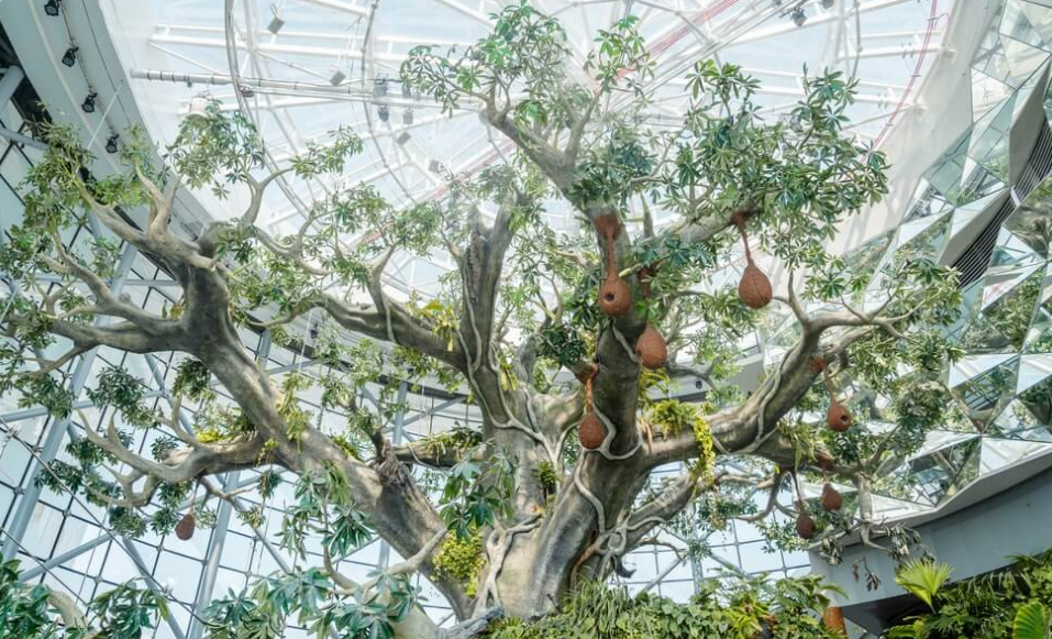 Rainy Days in Dubai: The Best Indoor Activities for Visitors