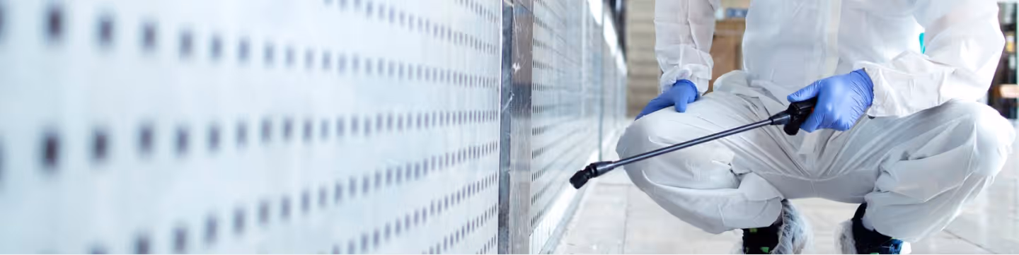 Sanitization professional spraying exterior wall. Professional applying pest control treatment along the building’s surface wall.