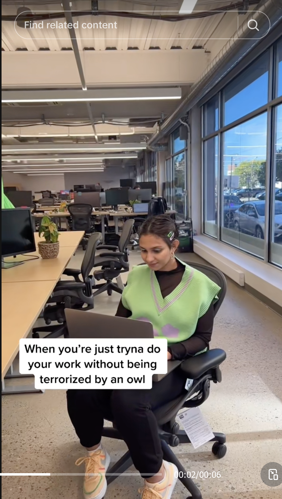 Woman working on a laptop in an office with humorous caption about being “terrorized by an owl.”