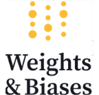 Weights and Biases