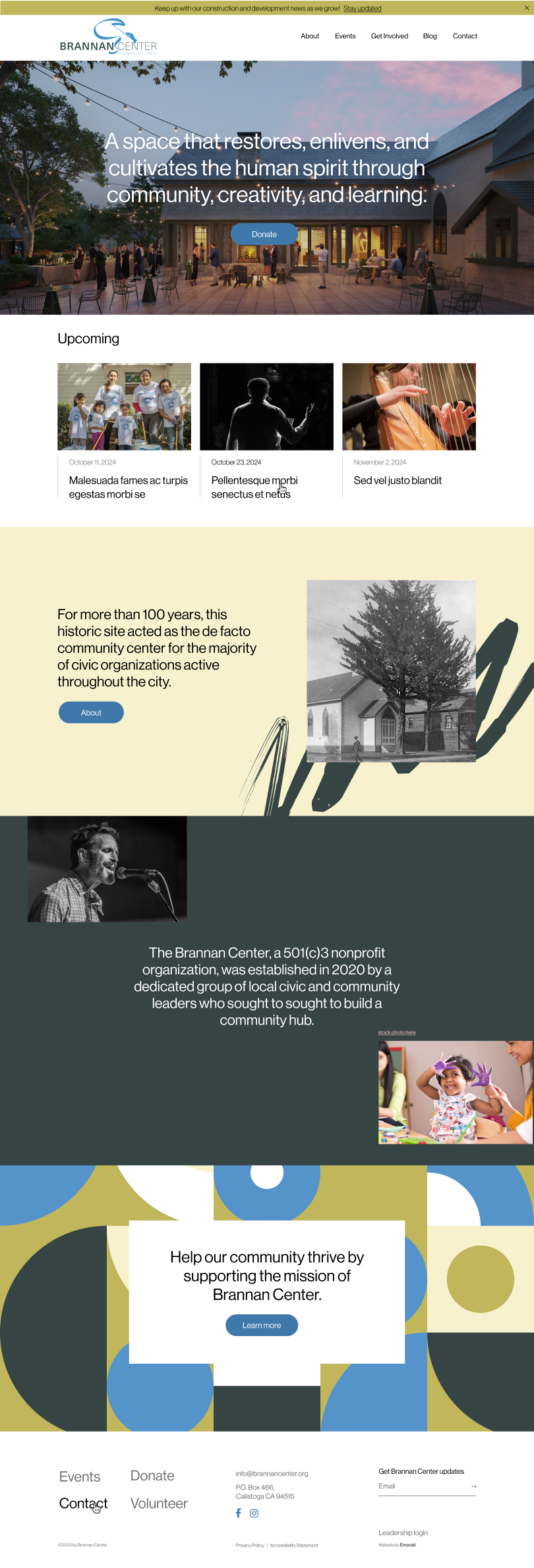 Website design